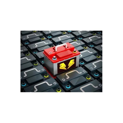 深圳食品進口報關公司 一站式貼心服務與專業報關代理，助力品牌高效通關